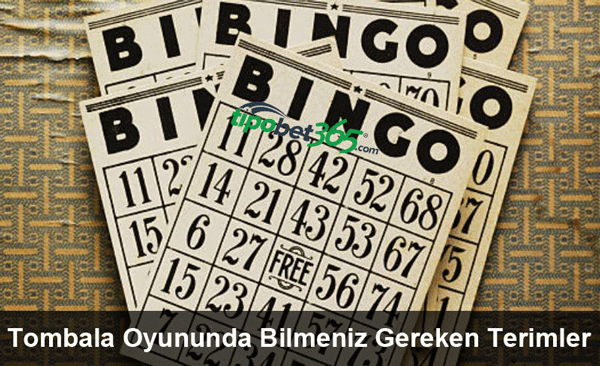 Tombala oyununa bahis yaparken tüm kurallar. Güvenilir bingo oyunu oynama